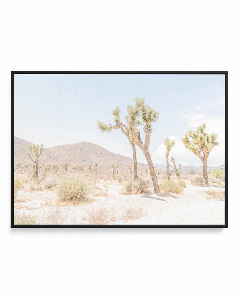 Joshua Tree Into the Desert I | Framed Canvas Art Print