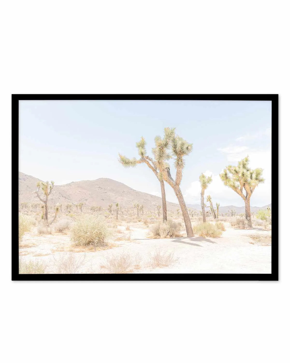 Joshua Tree Into the Desert I Art Print from Olive et Oriel where you can shop wallpaper and artworks online