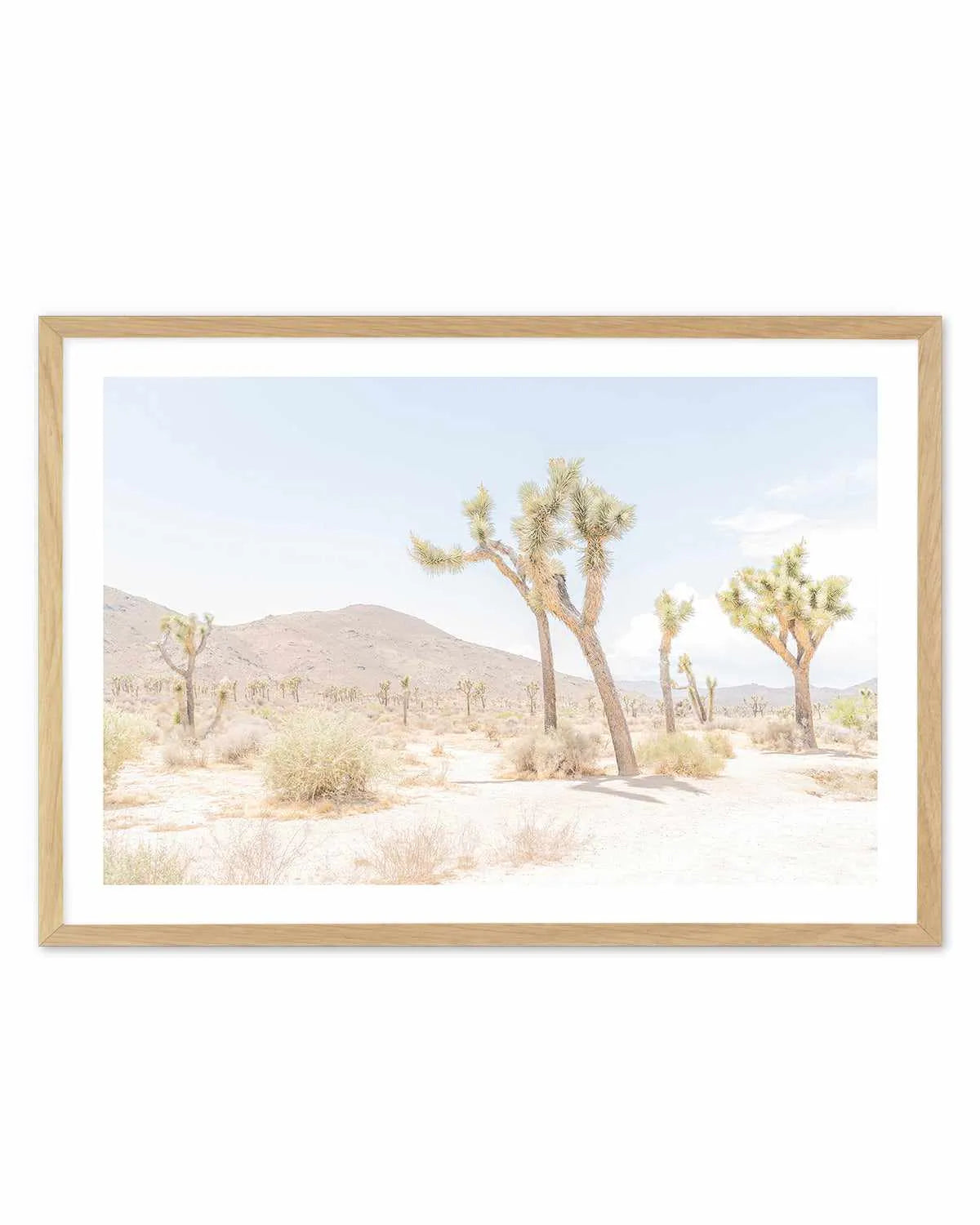 Joshua Tree Into the Desert I Art Print from Olive et Oriel where you can shop wallpaper and artworks online