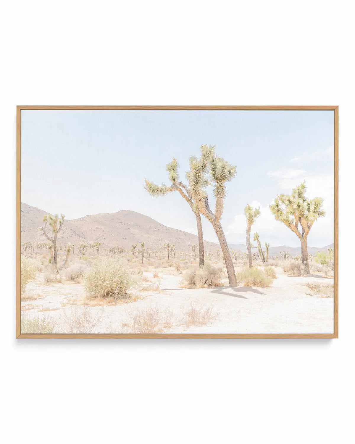 Joshua Tree Into the Desert I | Framed Canvas Art Print from Olive et Oriel where you can shop wallpaper and artworks online