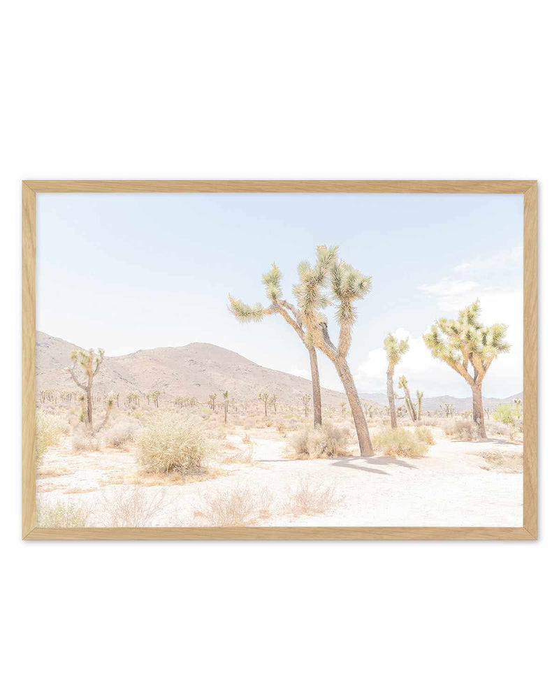 Joshua Tree Into the Desert I Art Print
