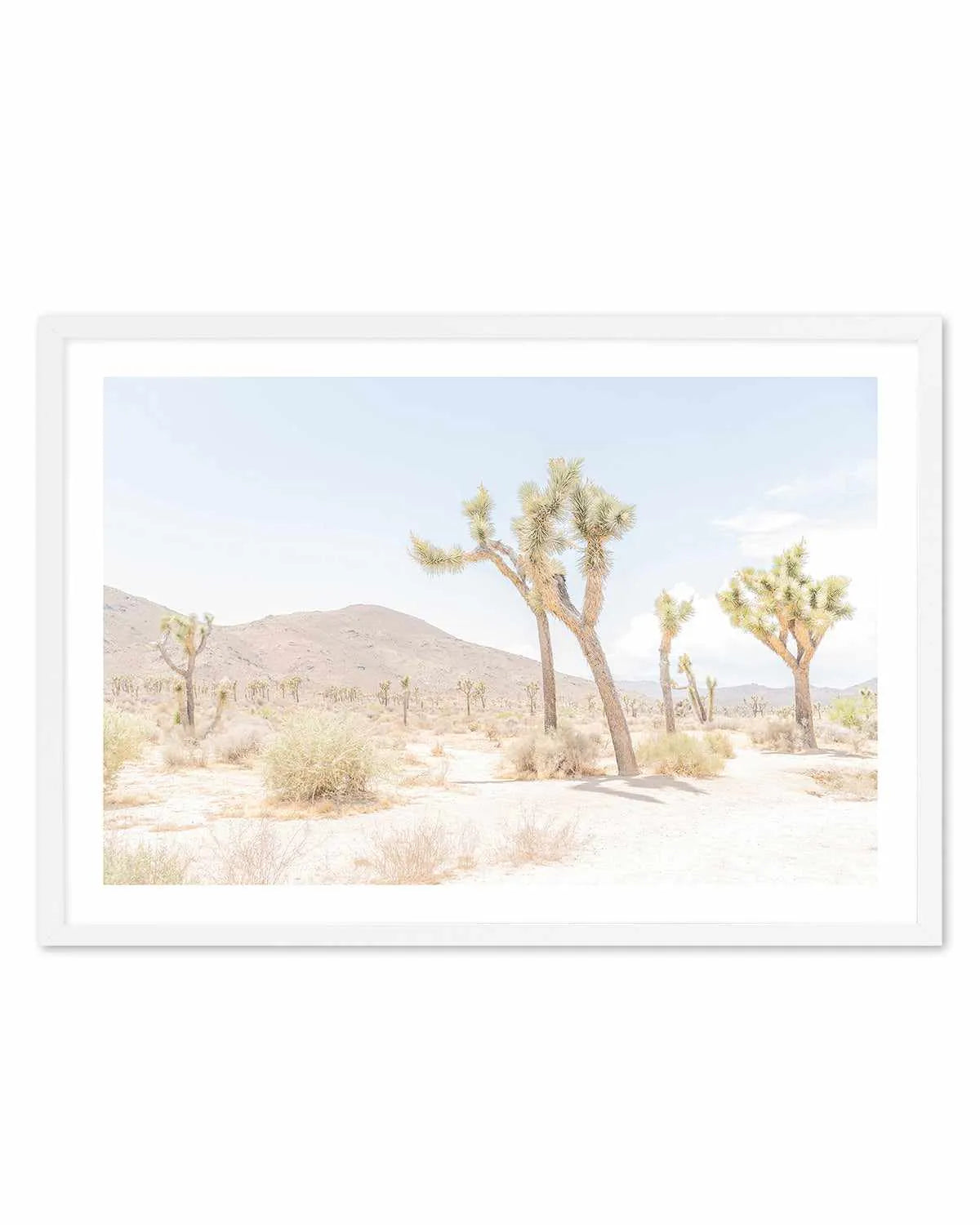 Joshua Tree Into the Desert I Art Print from Olive et Oriel where you can shop wallpaper and artworks online