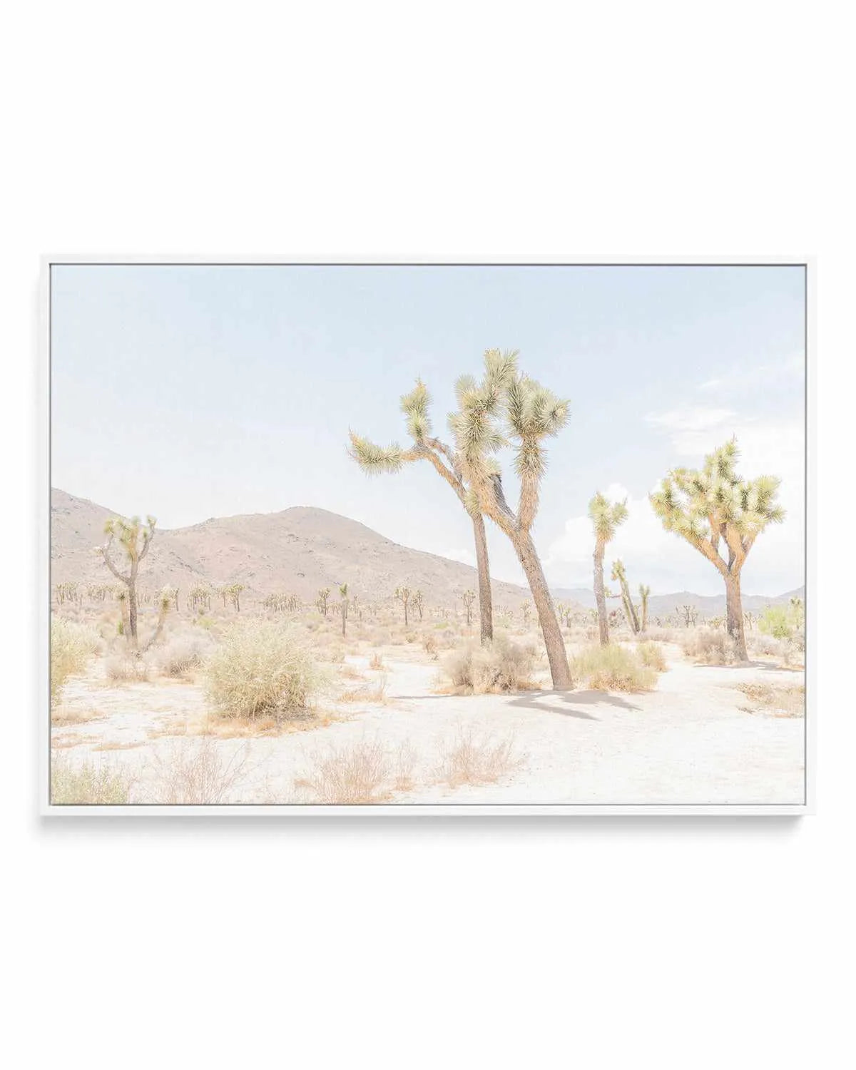 Joshua Tree Into the Desert I | Framed Canvas Art Print from Olive et Oriel where you can shop wallpaper and artworks online