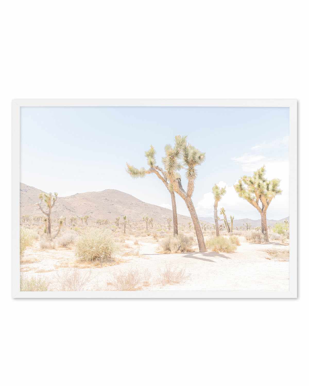 Joshua Tree Into the Desert I Art Print