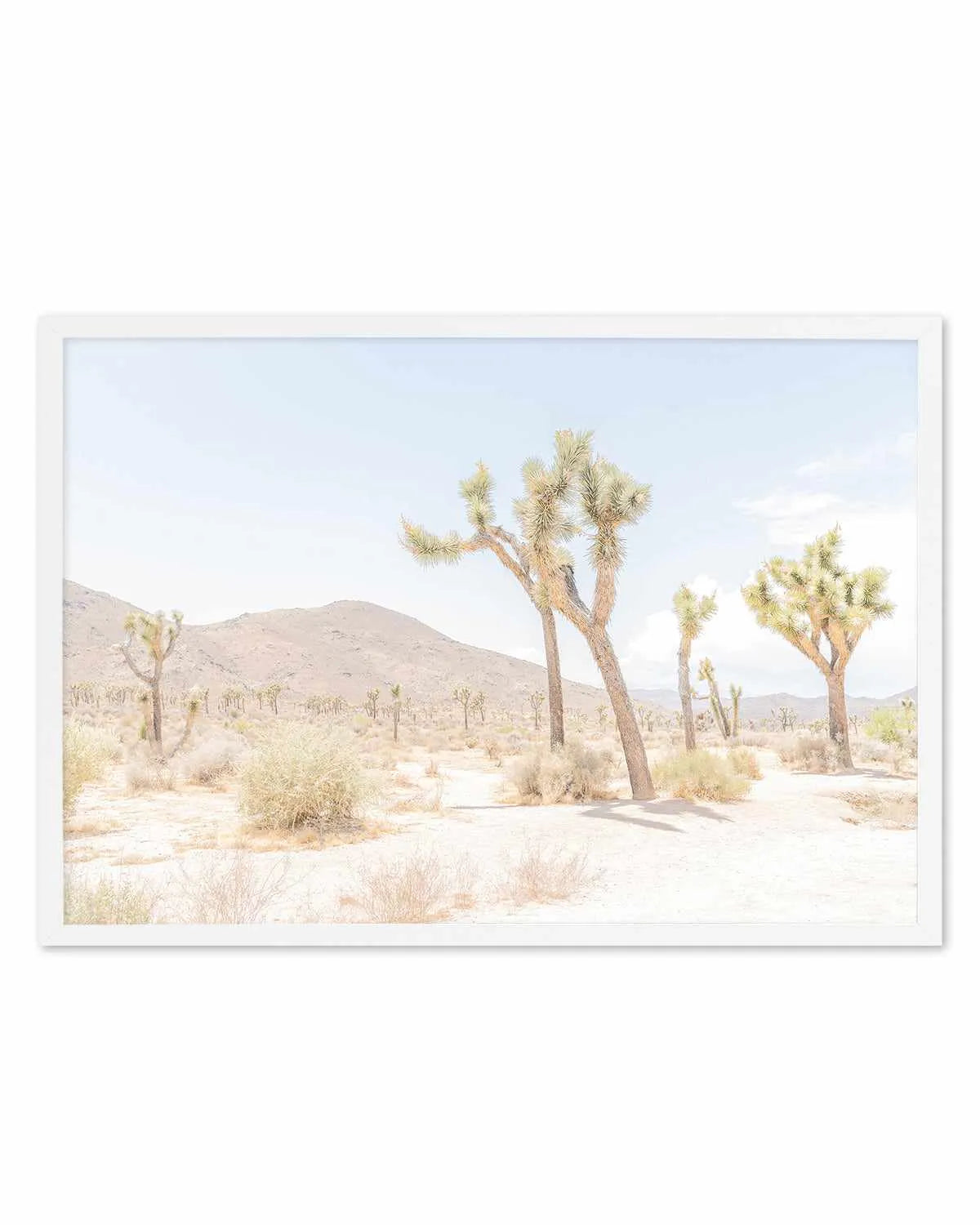 Joshua Tree Into the Desert I Art Print from Olive et Oriel where you can shop wallpaper and artworks online