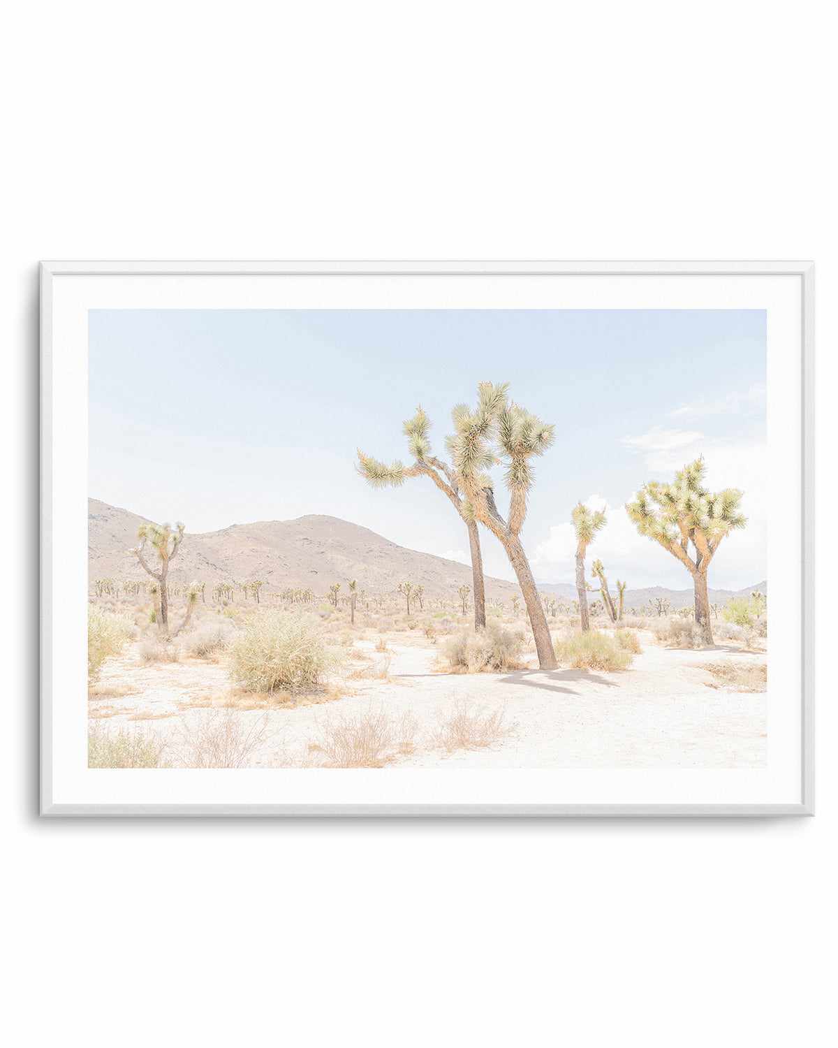 Joshua Tree Into the Desert I Art Print