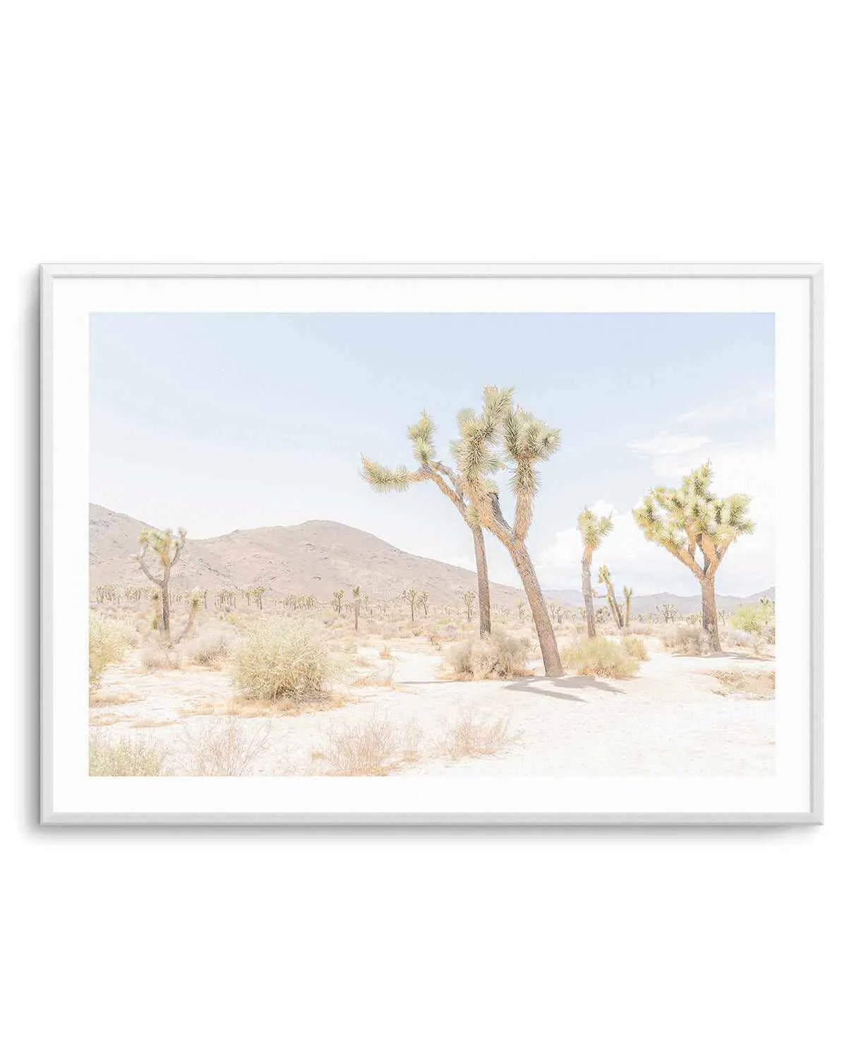 Joshua Tree Into the Desert I Art Print from Olive et Oriel where you can shop wallpaper and artworks online
