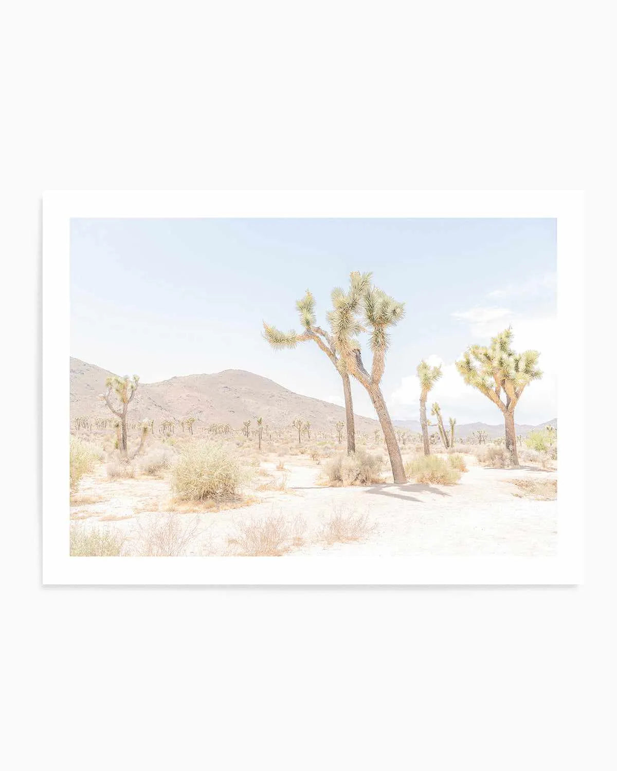 Joshua Tree Into the Desert I Art Print from Olive et Oriel where you can shop wallpaper and artworks online