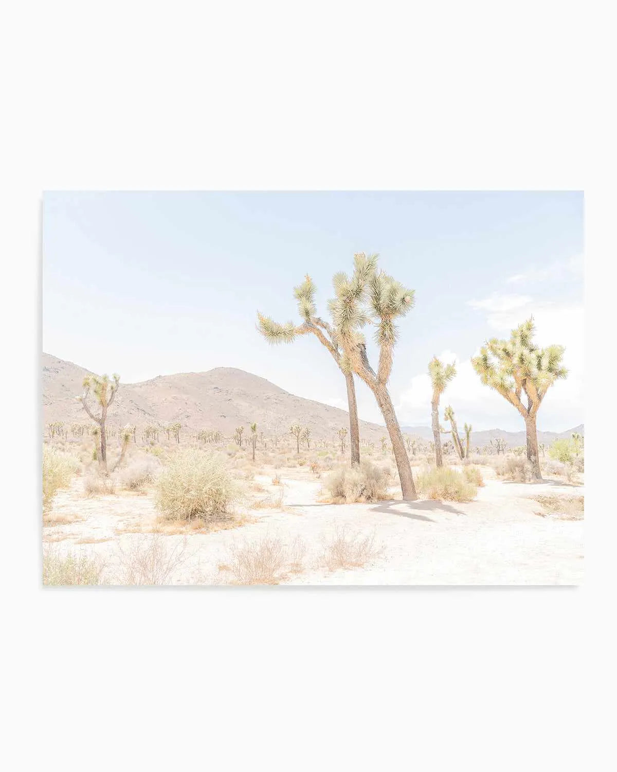 Joshua Tree Into the Desert I Art Print from Olive et Oriel where you can shop wallpaper and artworks online