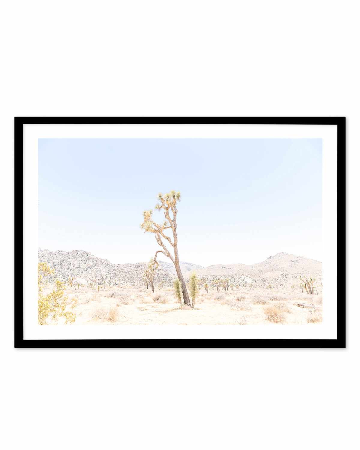 Joshua Tree Into the Desert II Art Print