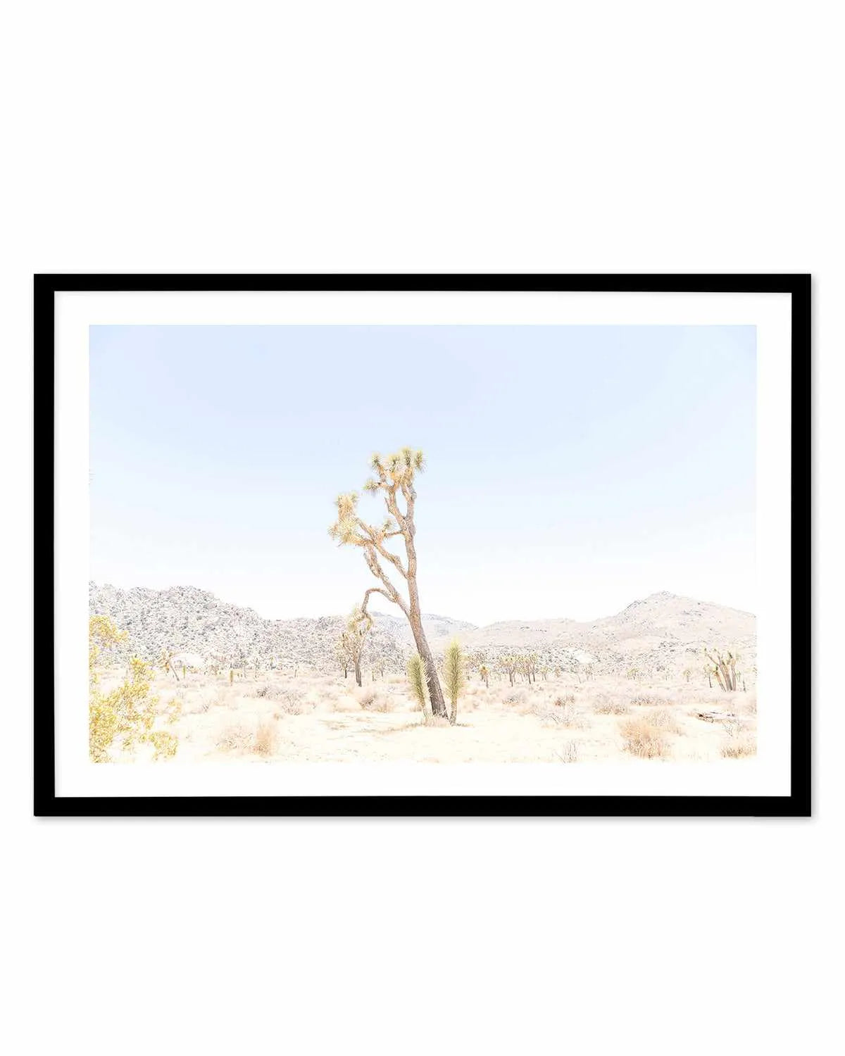 Joshua Tree Into the Desert II Art Print from Olive et Oriel where you can shop wallpaper and artworks online