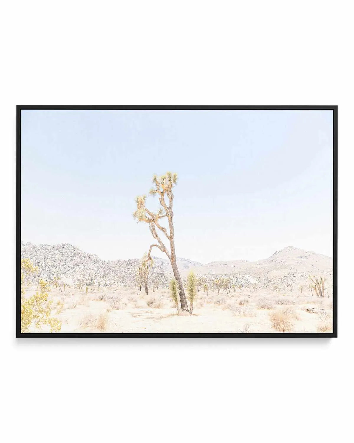 Joshua Tree Into the Desert II | Framed Canvas Art Print from Olive et Oriel where you can shop wallpaper and artworks online