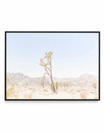 Joshua Tree Into the Desert II | Framed Canvas Art Print
