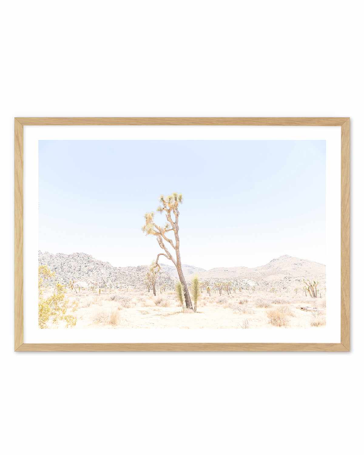 Joshua Tree Into the Desert II Art Print