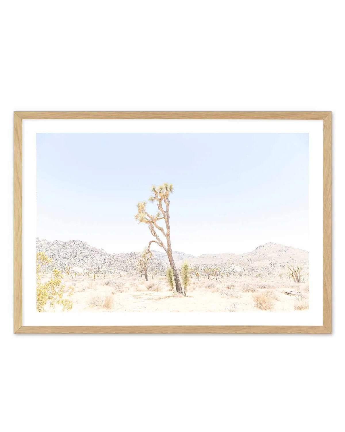 Joshua Tree Into the Desert II Art Print from Olive et Oriel where you can shop wallpaper and artworks online
