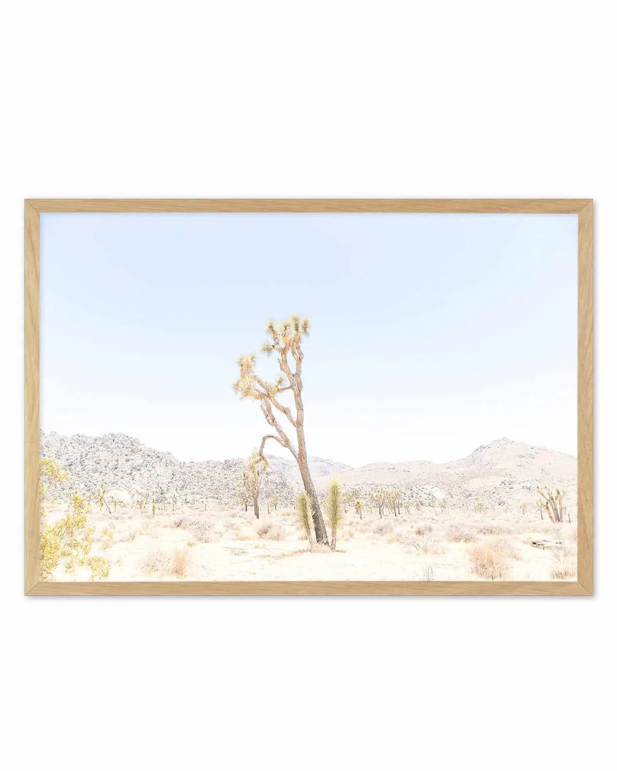 Joshua Tree Into the Desert II Art Print from Olive et Oriel where you can shop wallpaper and artworks online