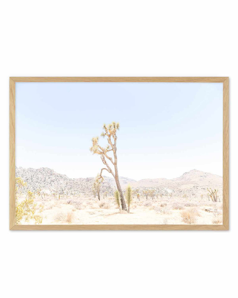 Joshua Tree Into the Desert II Art Print