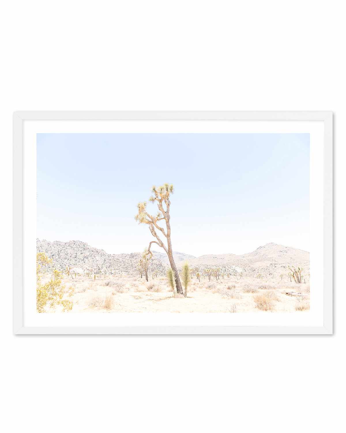 Joshua Tree Into the Desert II Art Print