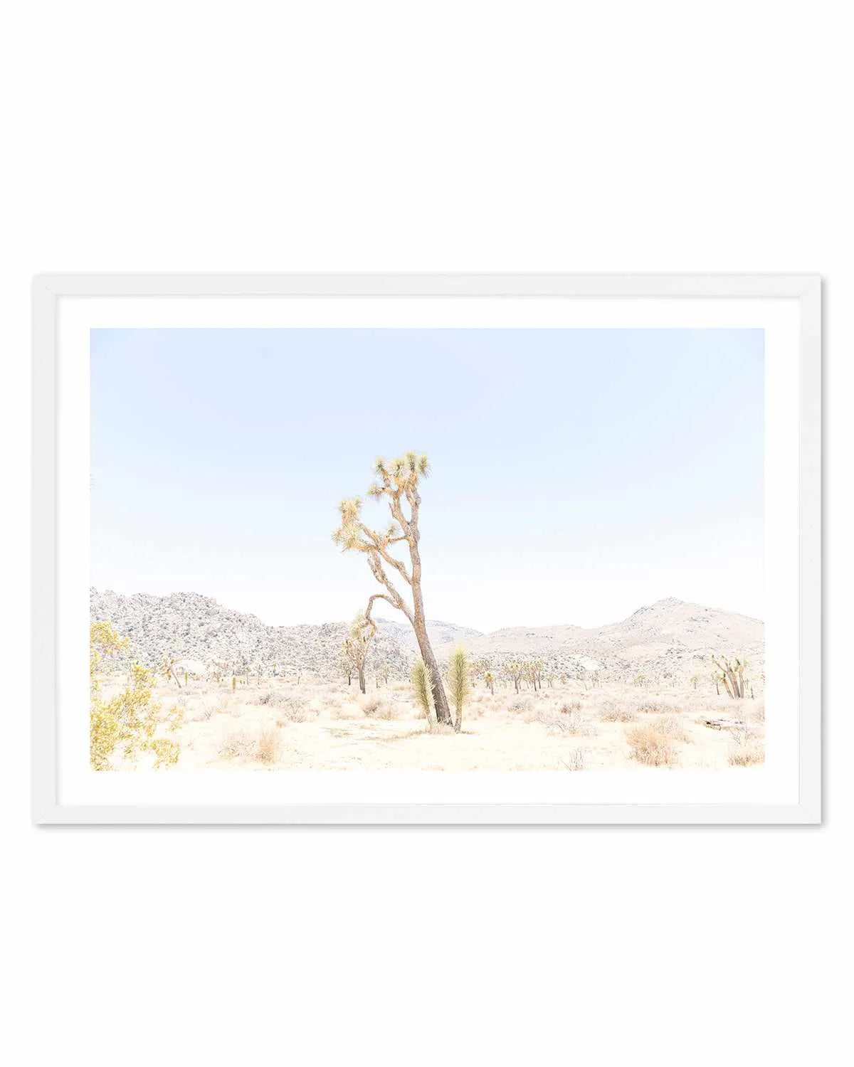 Joshua Tree Into the Desert II Art Print from Olive et Oriel where you can shop wallpaper and artworks online