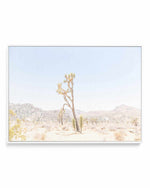 Joshua Tree Into the Desert II | Framed Canvas Art Print