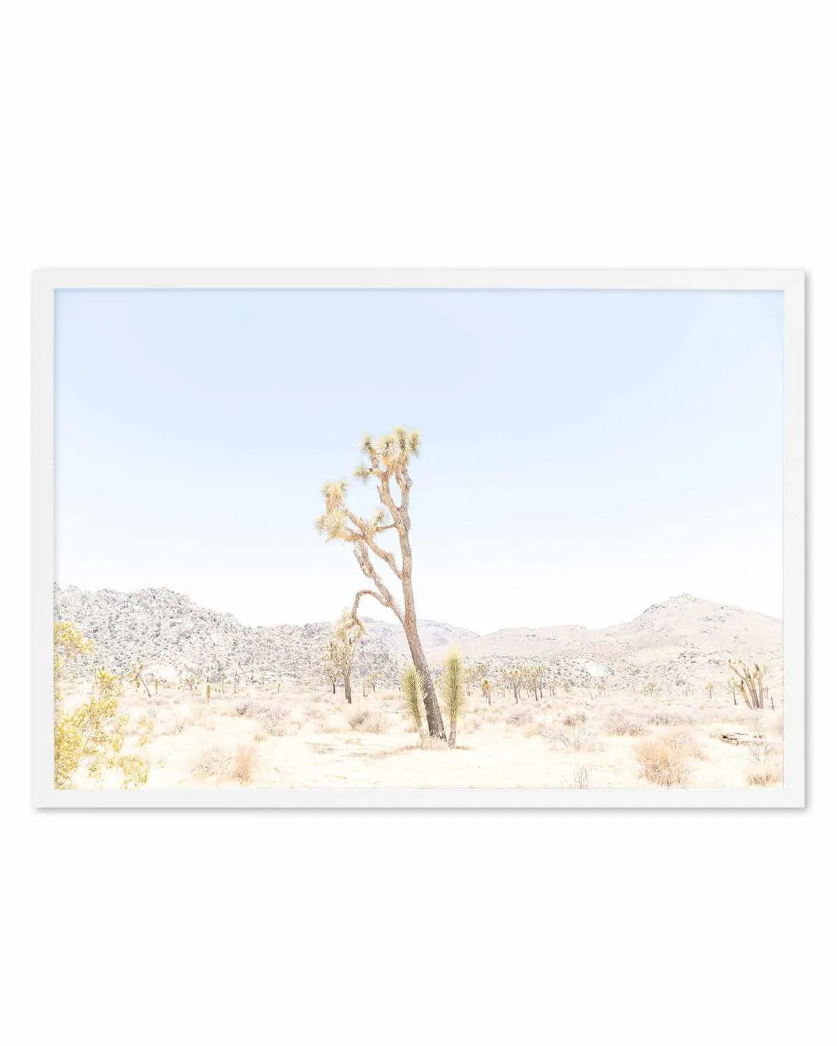 Joshua Tree Into the Desert II Art Print from Olive et Oriel where you can shop wallpaper and artworks online