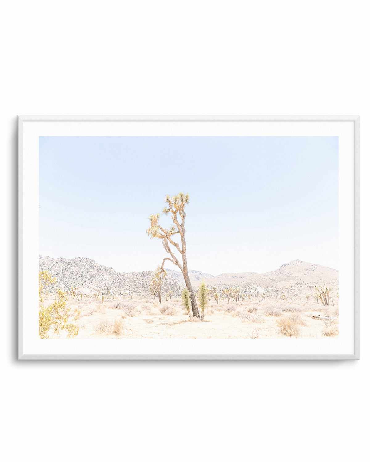 Joshua Tree Into the Desert II Art Print