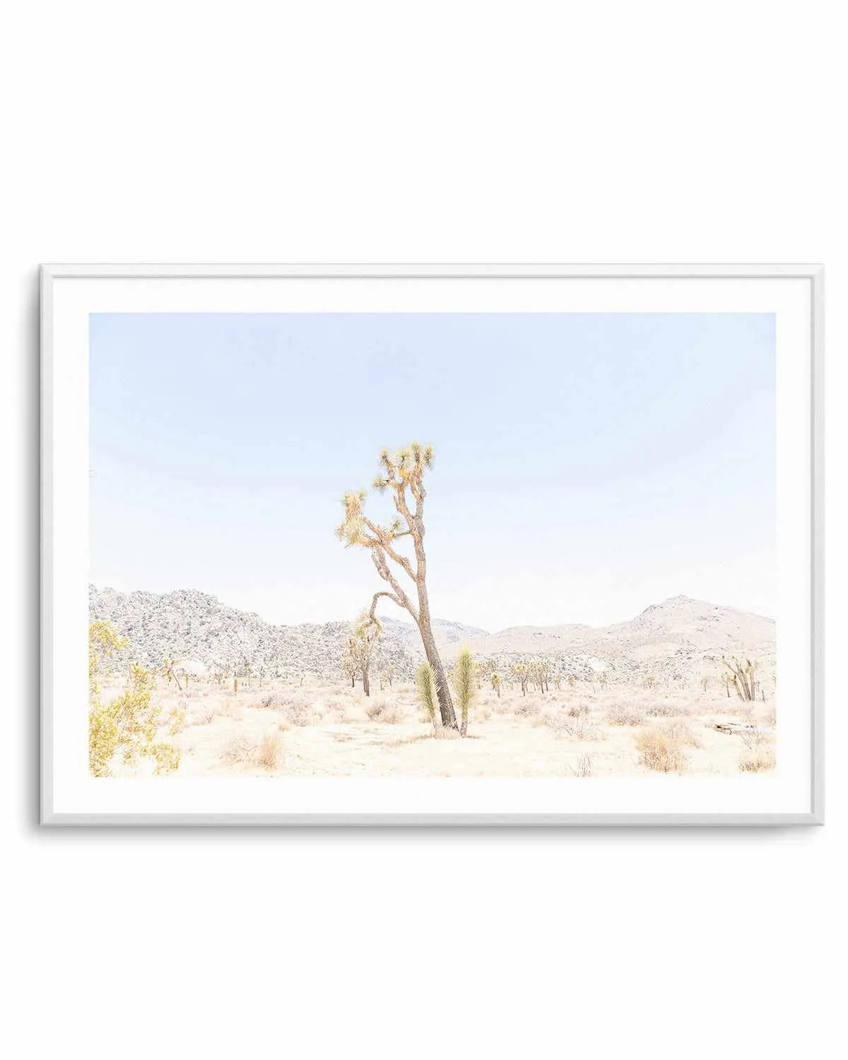 Joshua Tree Into the Desert II Art Print from Olive et Oriel where you can shop wallpaper and artworks online