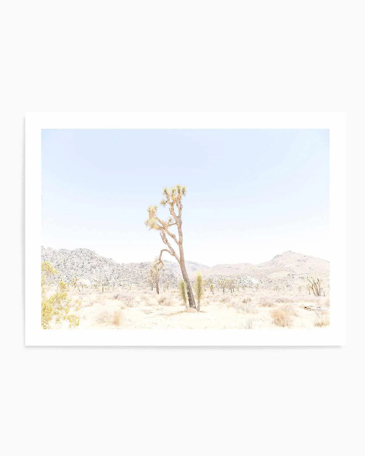Joshua Tree Into the Desert II Art Print from Olive et Oriel where you can shop wallpaper and artworks online
