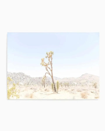 Joshua Tree Into the Desert II Art Print from Olive et Oriel where you can shop wallpaper and artworks online