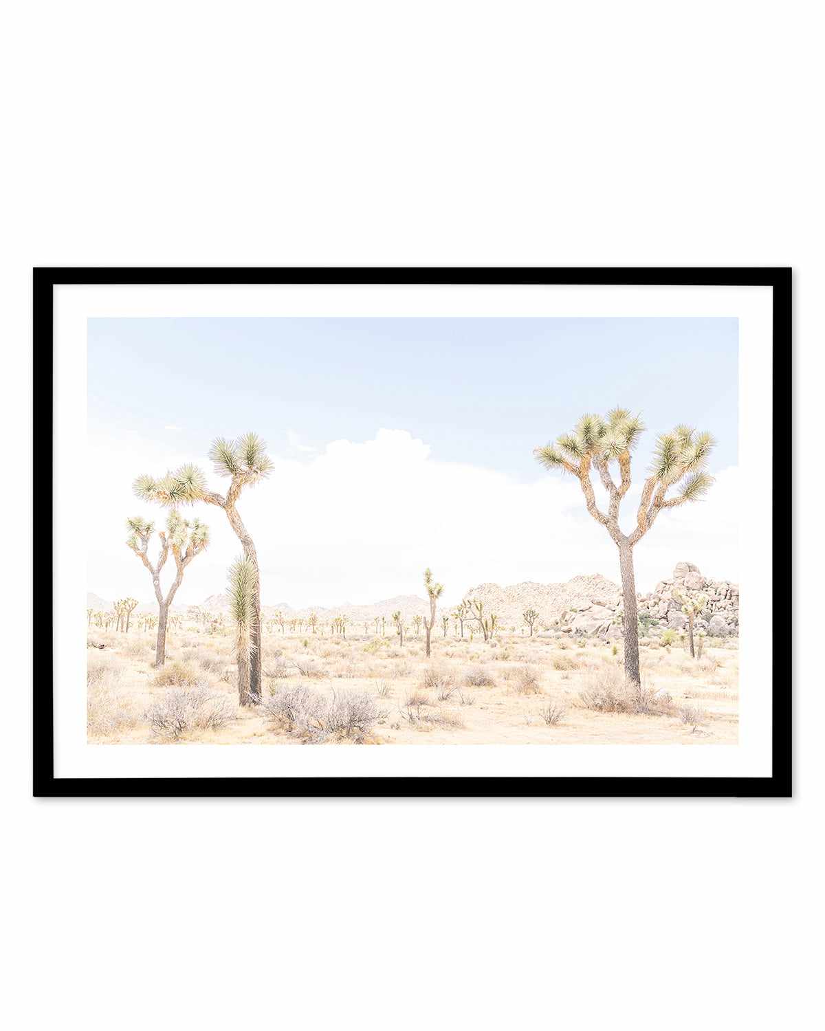 Joshua Tree Into the Desert III Art Print