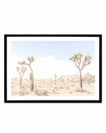 Joshua Tree Into the Desert III Art Print