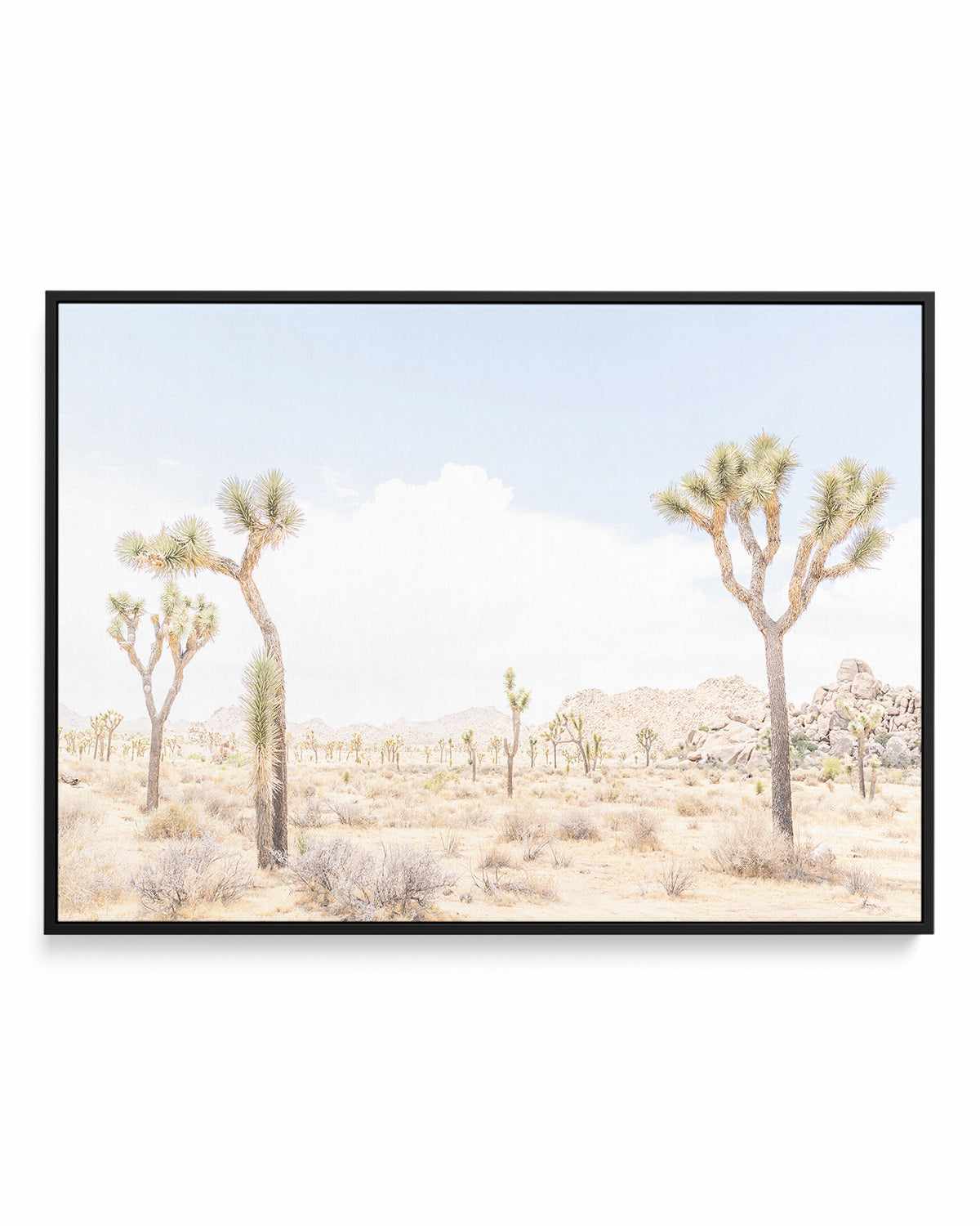 Joshua Tree Into the Desert III | Framed Canvas Art Print