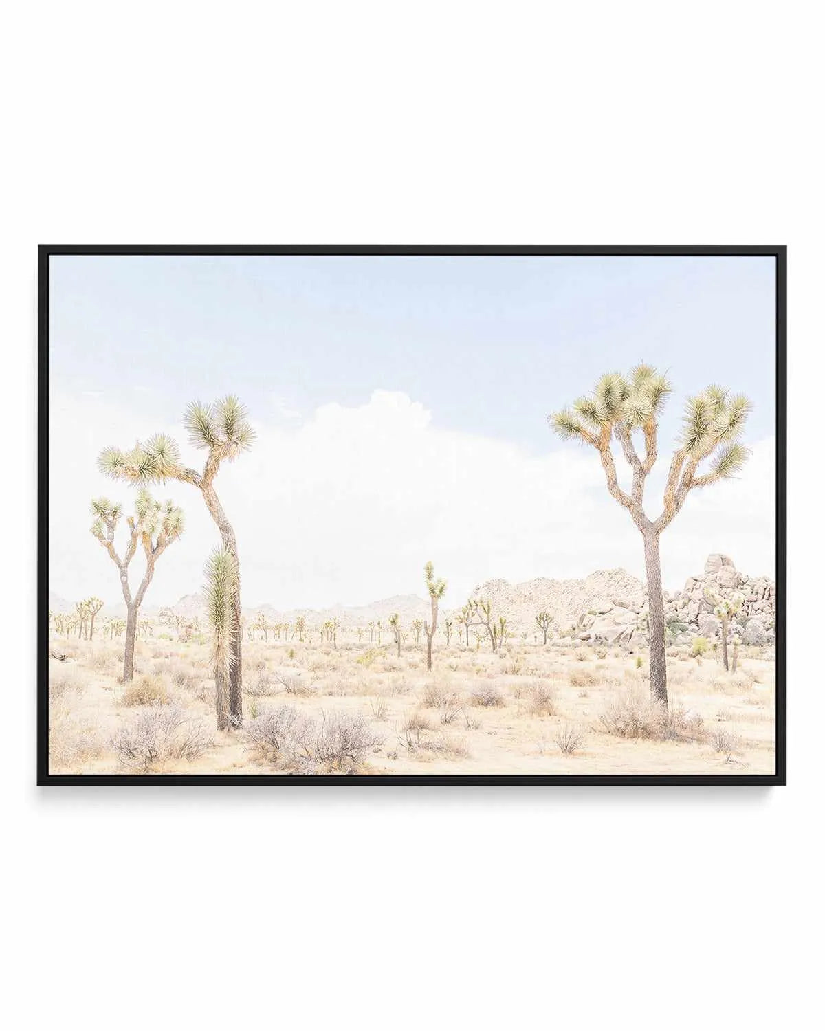 Joshua Tree Into the Desert III | Framed Canvas Art Print from Olive et Oriel where you can shop wallpaper and artworks online