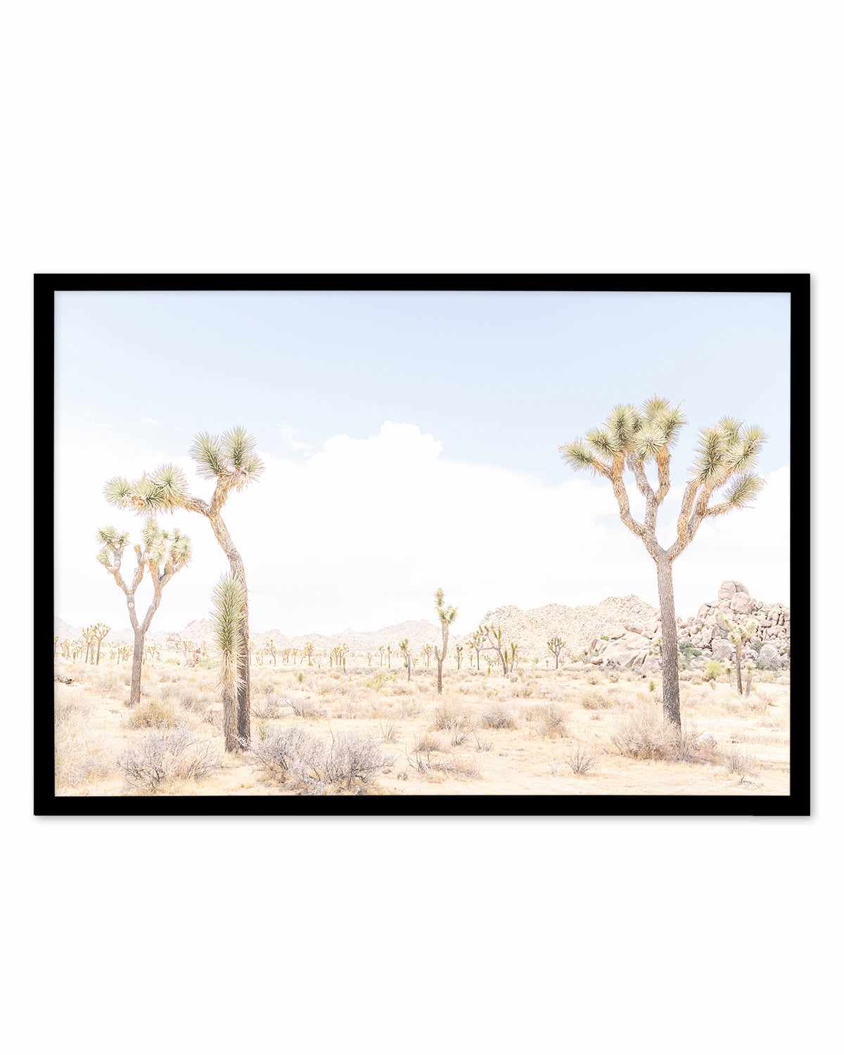 Joshua Tree Into the Desert III Art Print