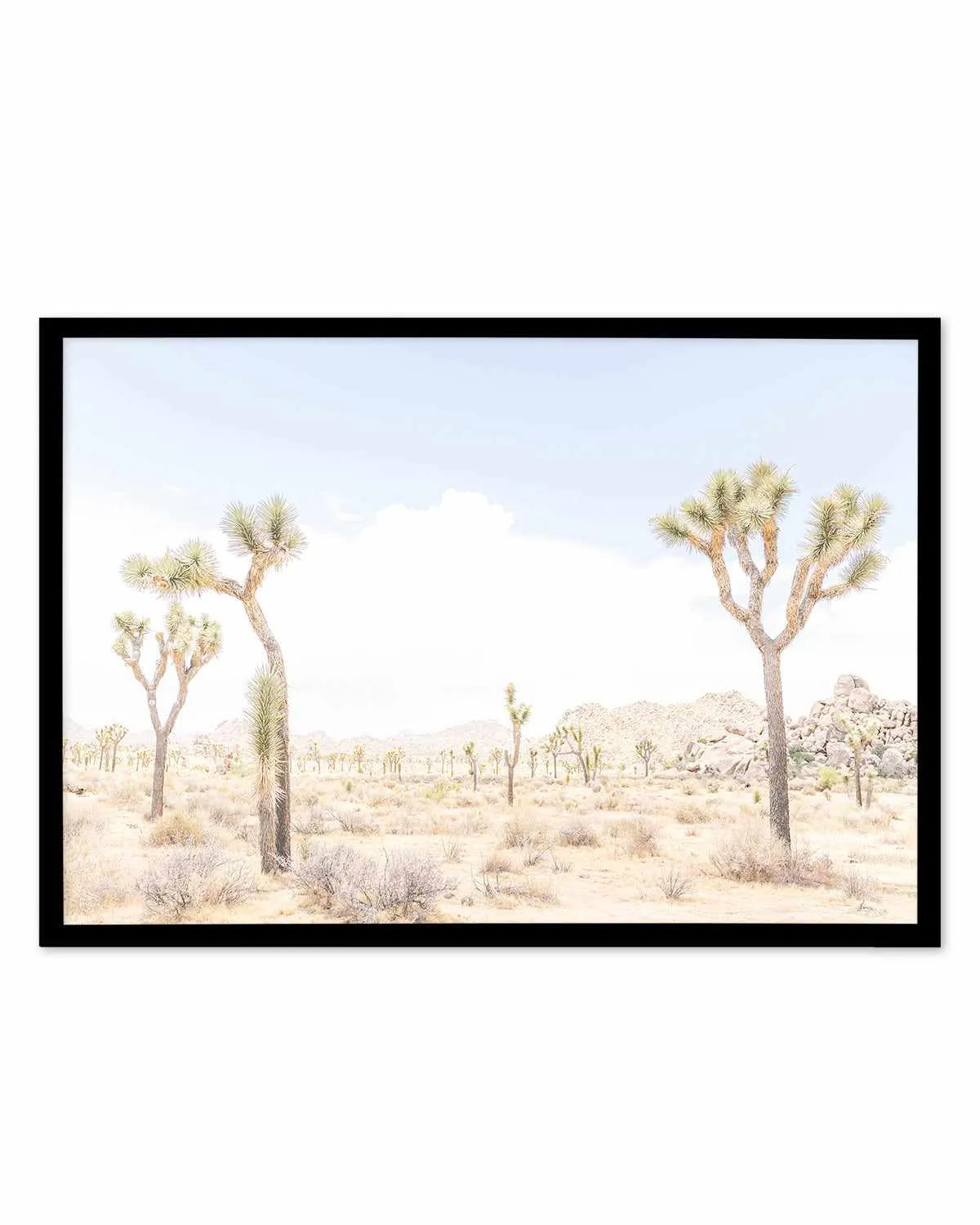Joshua Tree Into the Desert III Art Print from Olive et Oriel where you can shop wallpaper and artworks online