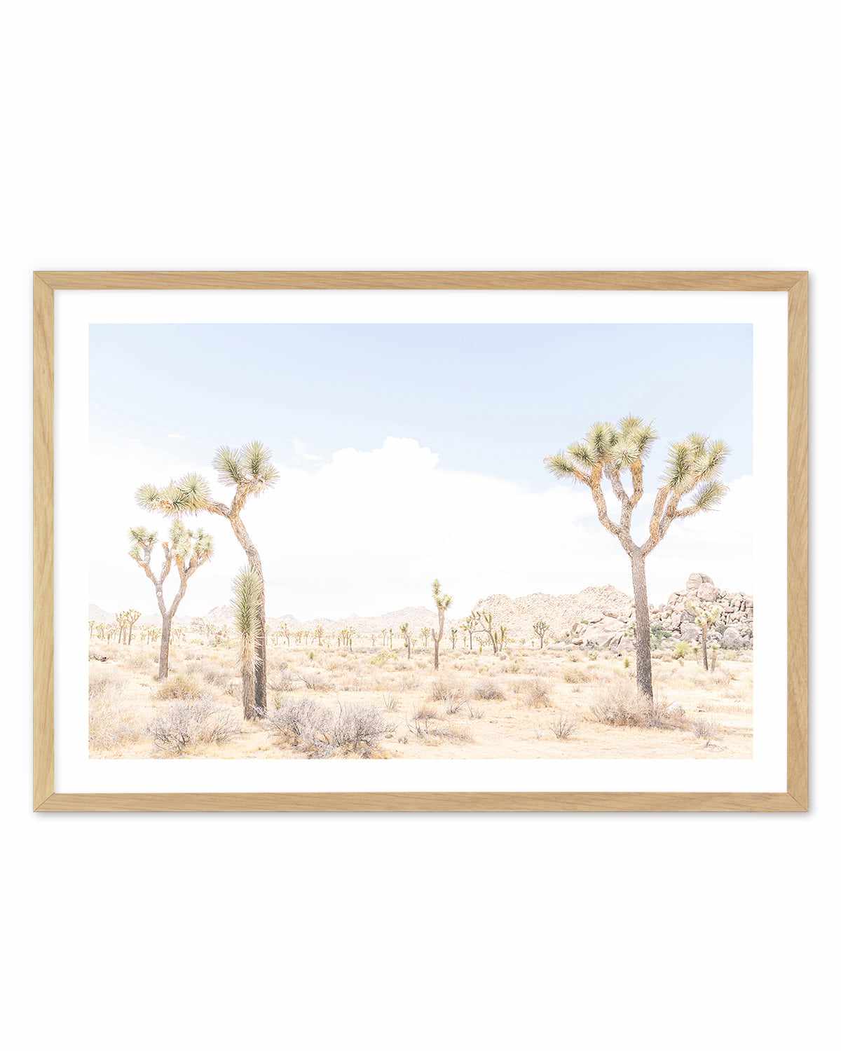 Joshua Tree Into the Desert III Art Print