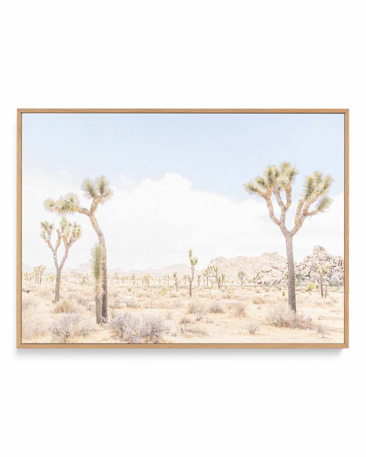 Joshua Tree Into the Desert III | Framed Canvas Art Print