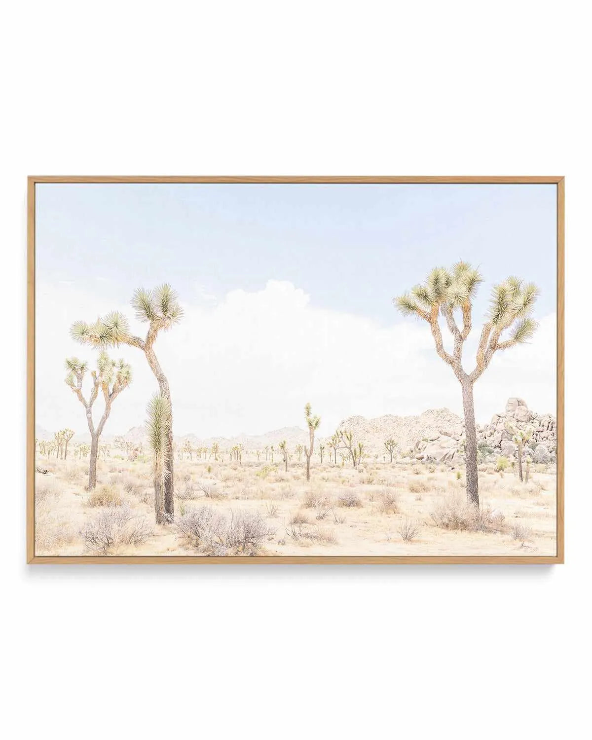 Joshua Tree Into the Desert III | Framed Canvas Art Print from Olive et Oriel where you can shop wallpaper and artworks online