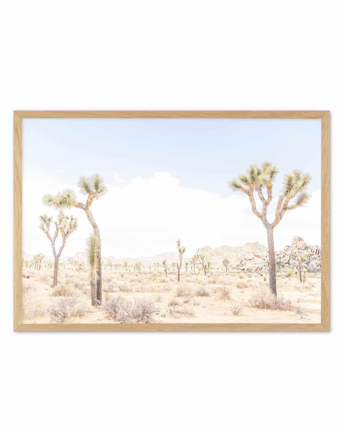 Joshua Tree Into the Desert III Art Print