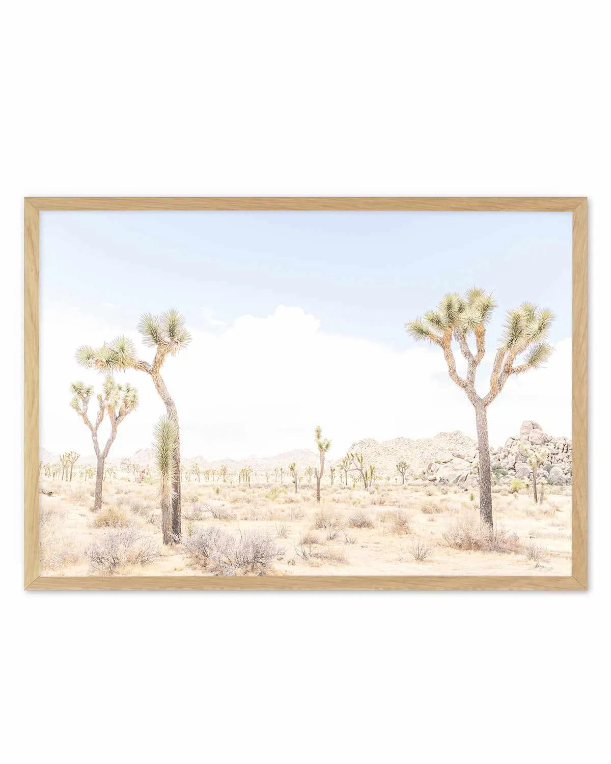 Joshua Tree Into the Desert III Art Print from Olive et Oriel where you can shop wallpaper and artworks online