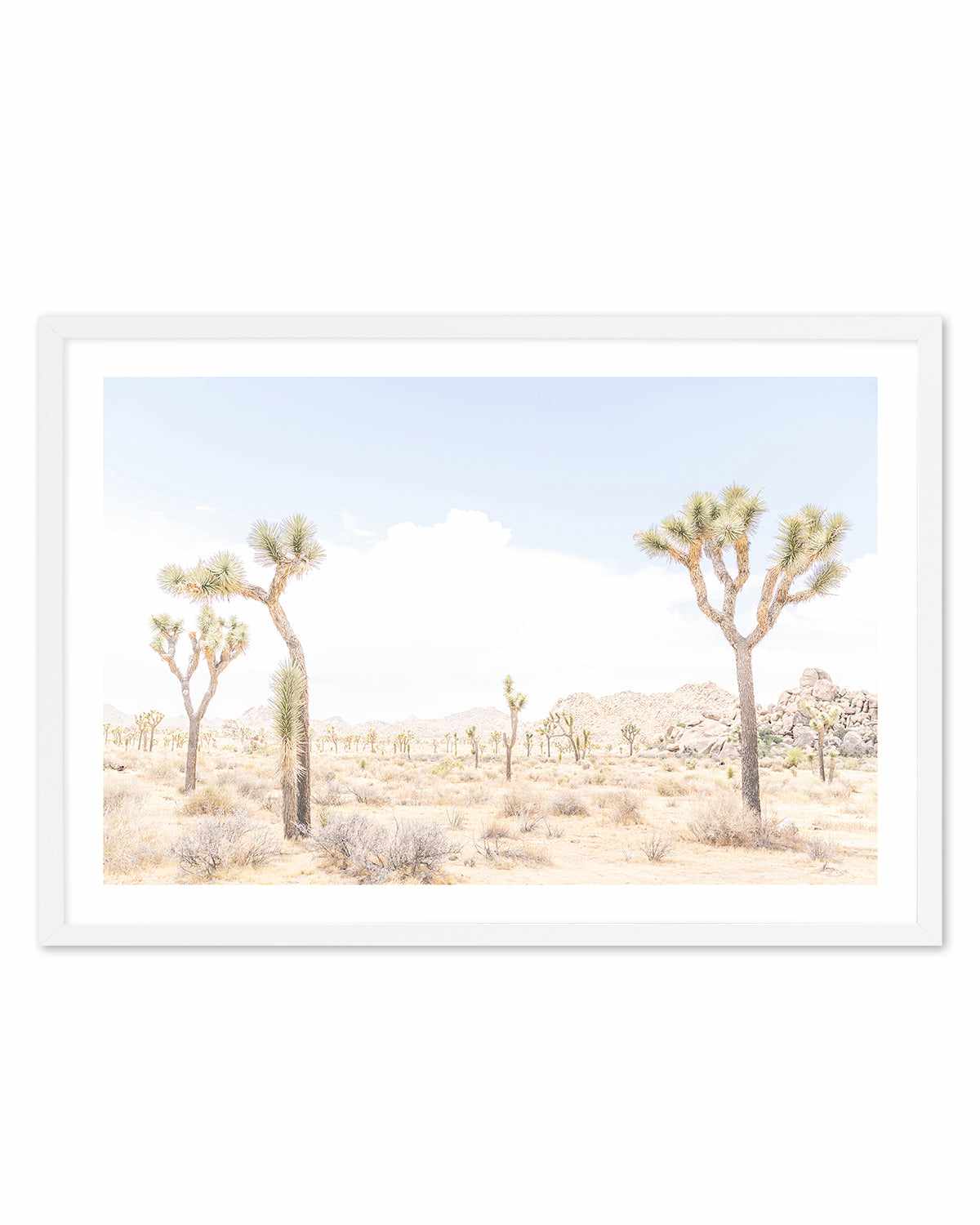 Joshua Tree Into the Desert III Art Print