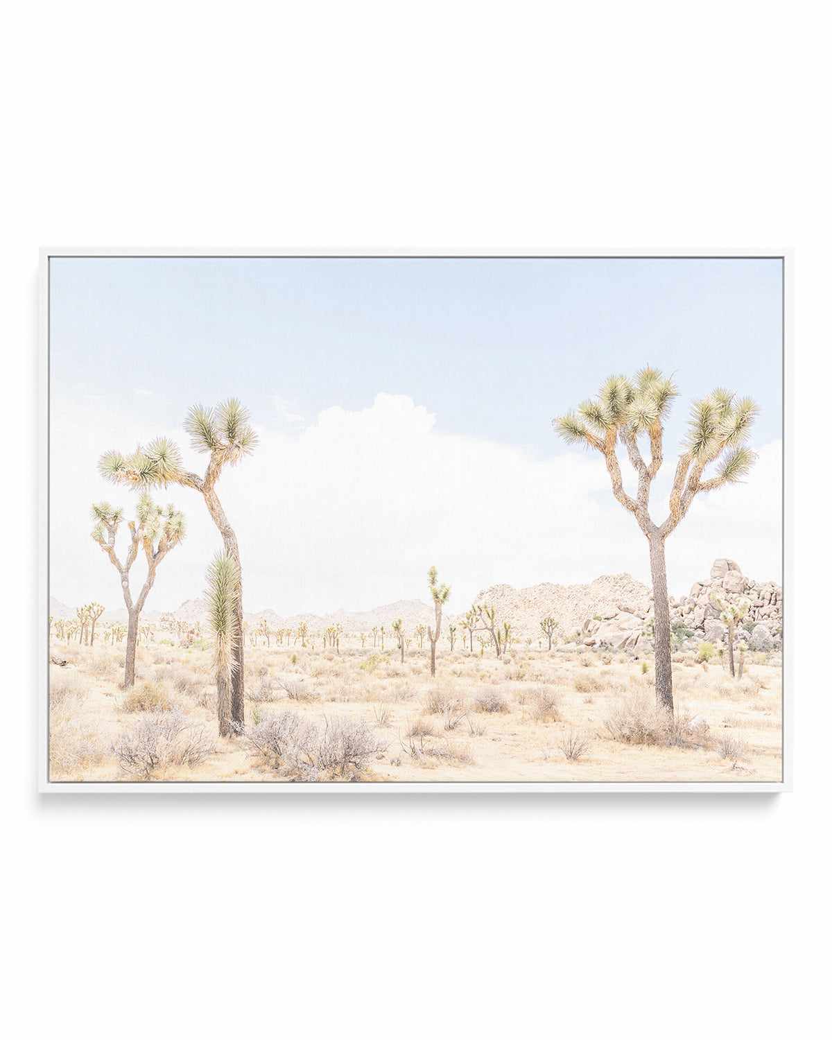 Joshua Tree Into the Desert III | Framed Canvas Art Print