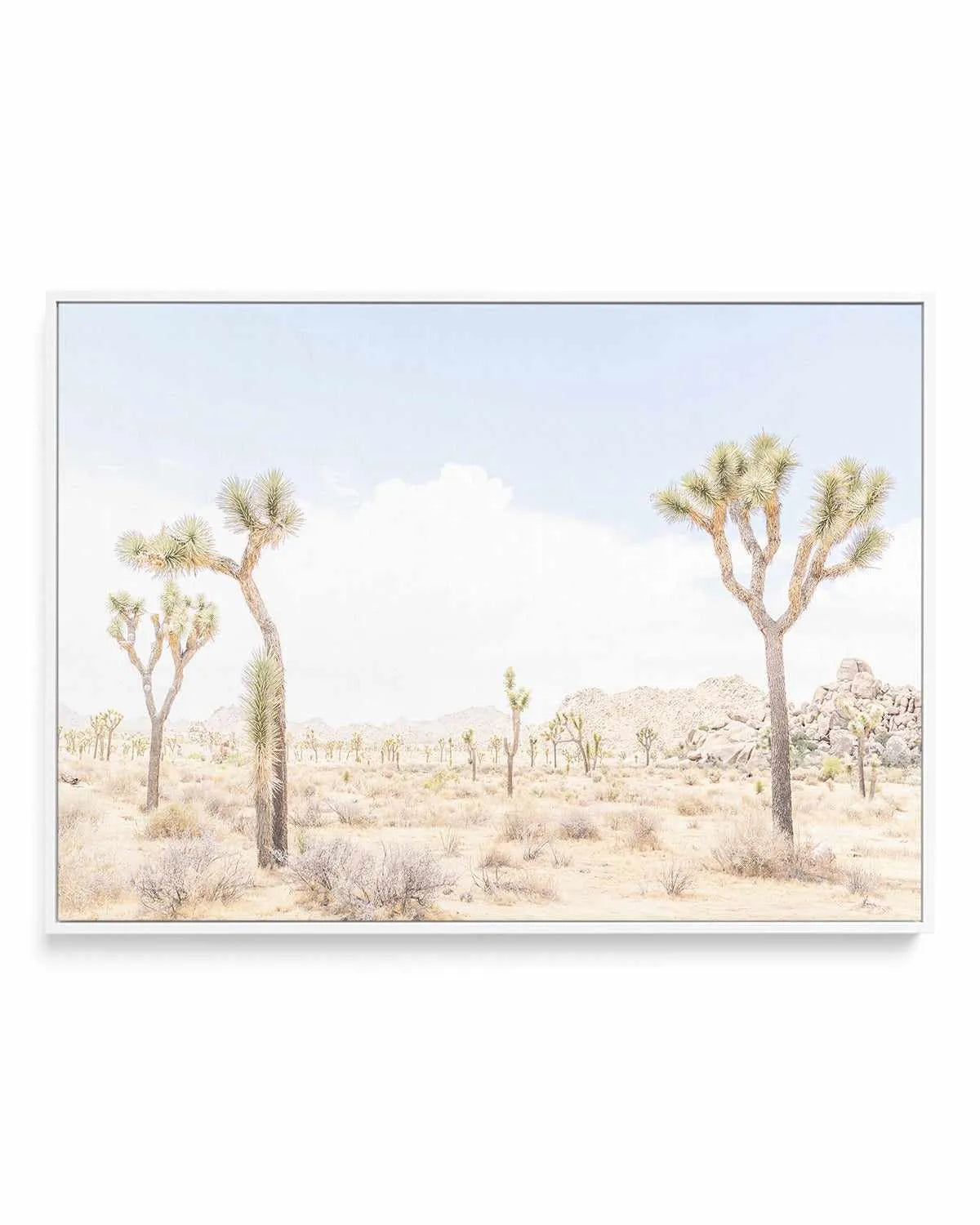 Joshua Tree Into the Desert III | Framed Canvas Art Print from Olive et Oriel where you can shop wallpaper and artworks online