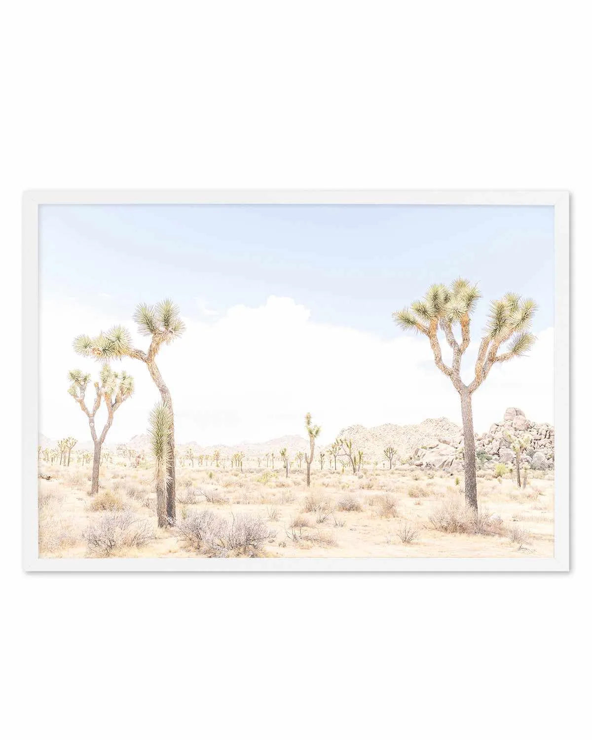 Joshua Tree Into the Desert III Art Print from Olive et Oriel where you can shop wallpaper and artworks online