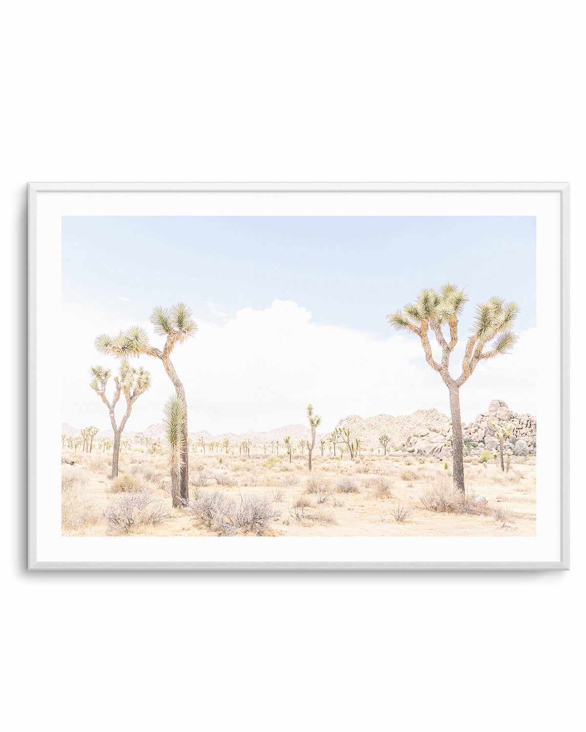 Joshua Tree Into the Desert III Art Print