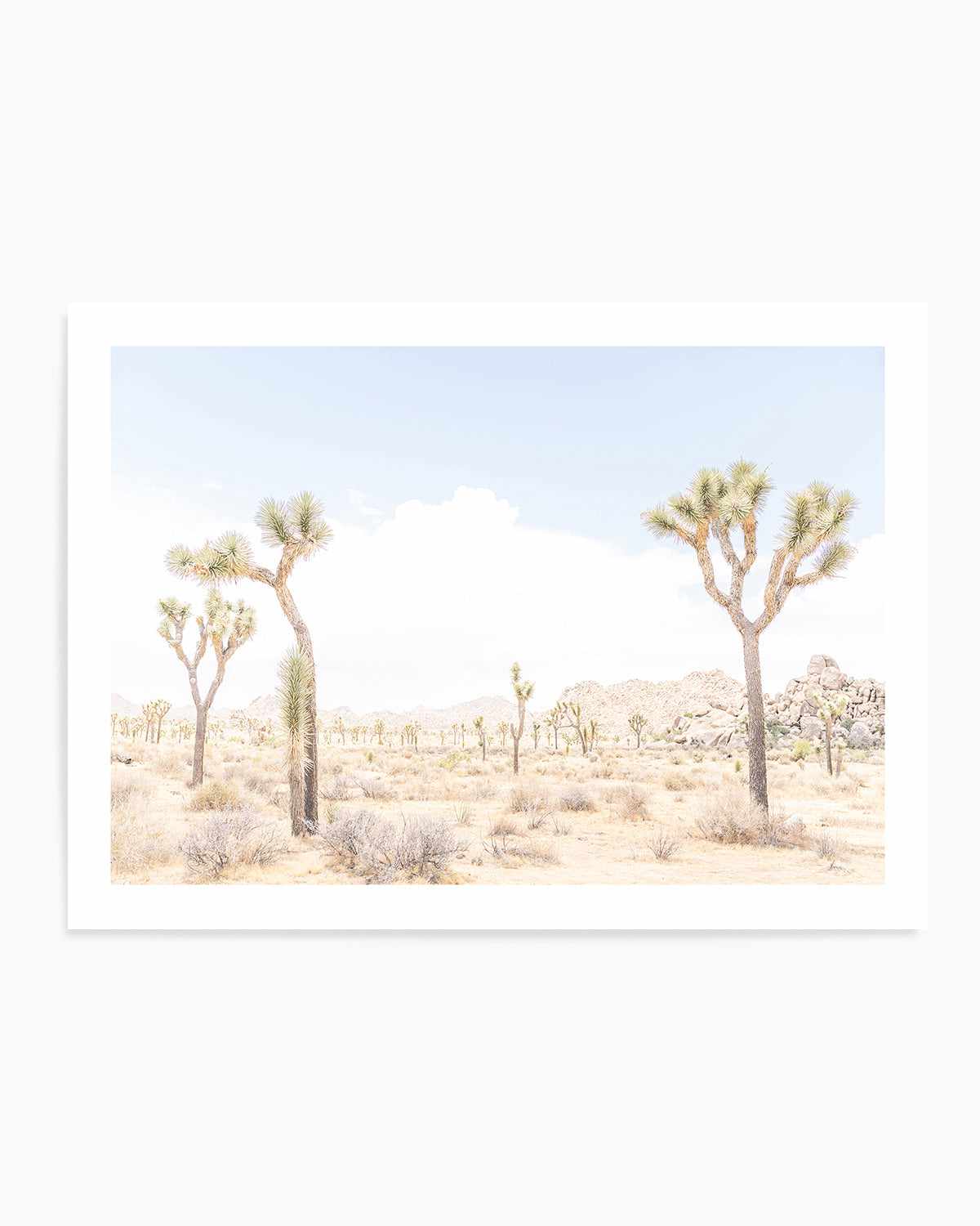 Joshua Tree Into the Desert III Art Print