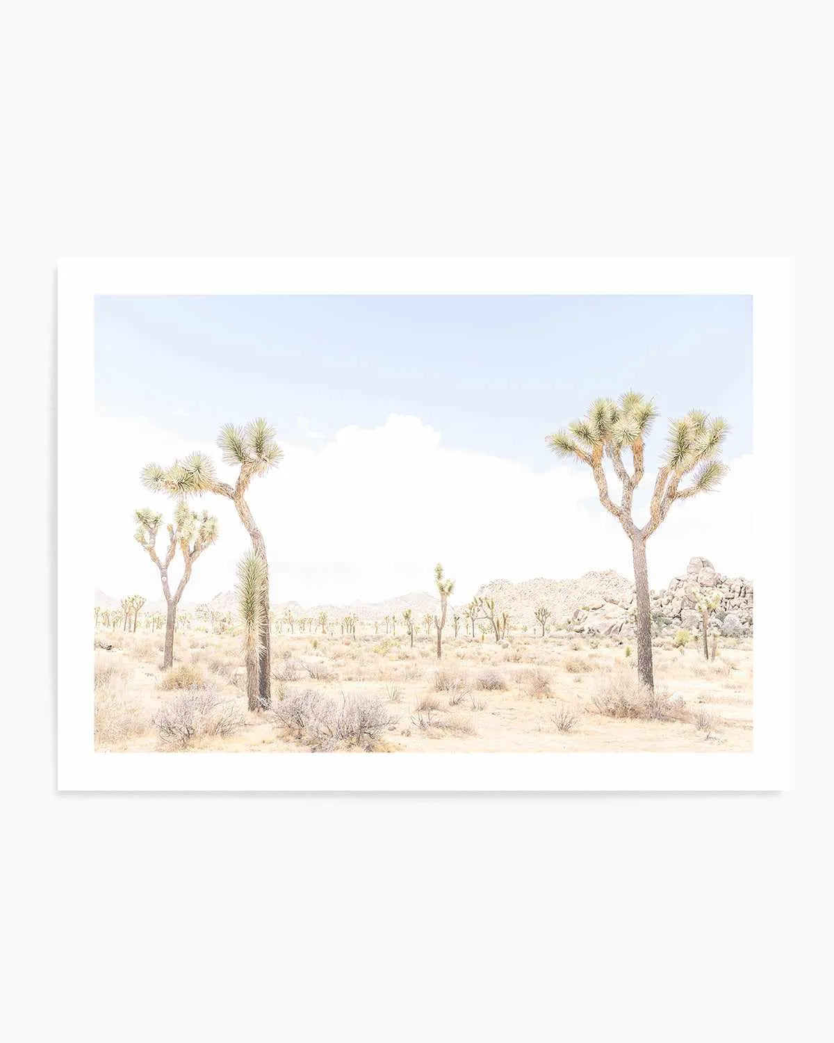 Joshua Tree Into the Desert III Art Print from Olive et Oriel where you can shop wallpaper and artworks online