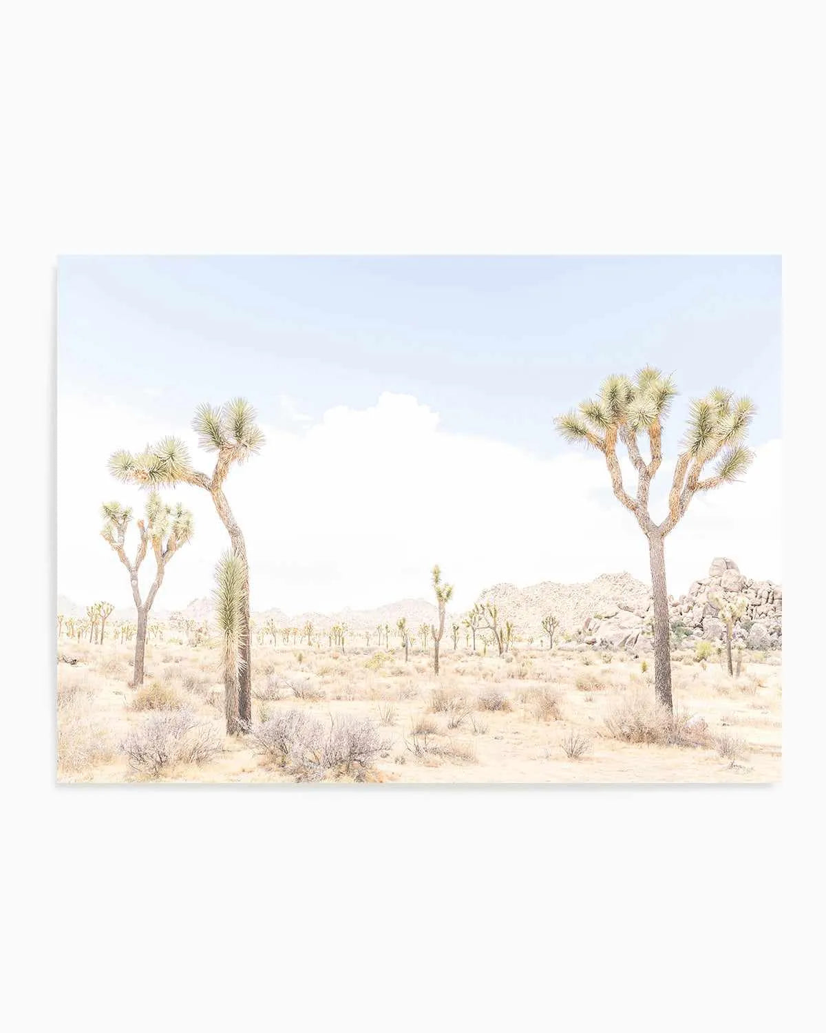 Joshua Tree Into the Desert III Art Print from Olive et Oriel where you can shop wallpaper and artworks online