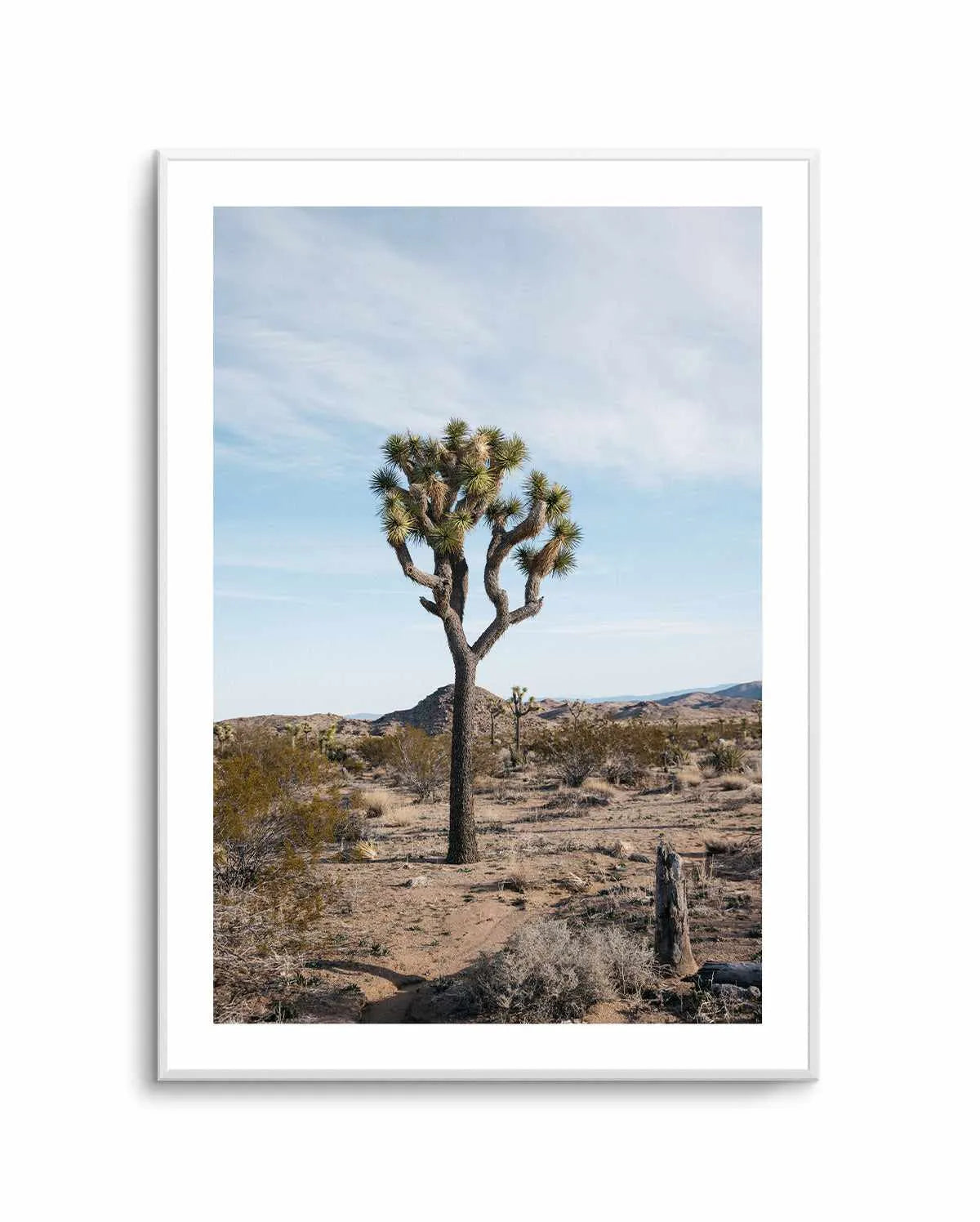 Joshua Tree PT by Kalen X | Art Print from Olive et Oriel where you can shop wallpaper and artworks online