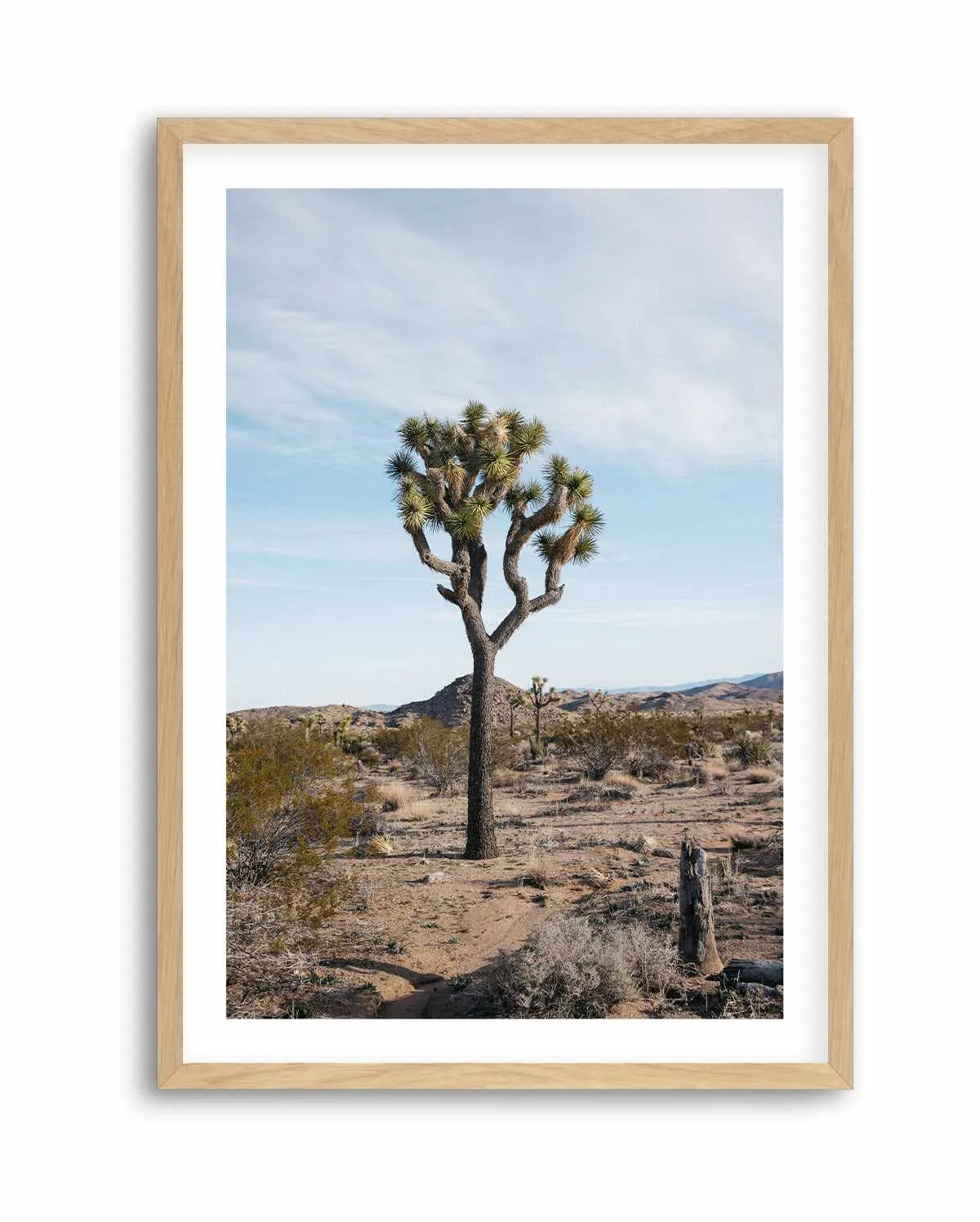 Joshua Tree PT by Kalen X | Art Print from Olive et Oriel where you can shop wallpaper and artworks online